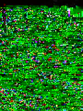 gatitaamelosaa7 online show from 19, 2, 2026