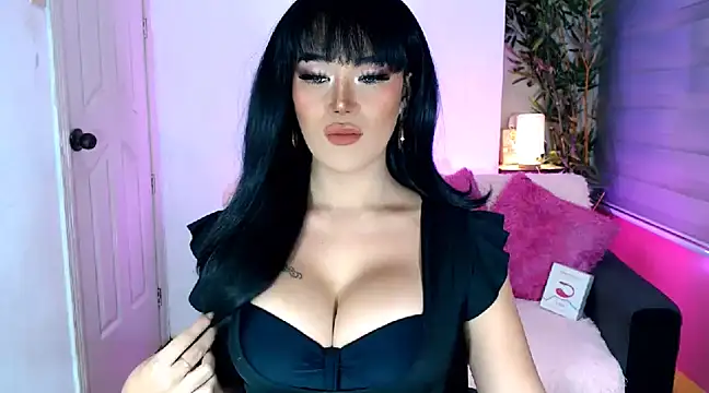 transSTARprincess online show from 4, 12, 2024