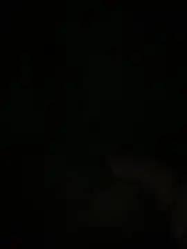 Manfredini607452 online show from 18, 11, 2025