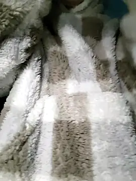 Snapshot of AnimalModeLive chatting on 9, 11, 2025 AnimalModeLive online show from 9, 11, 2025