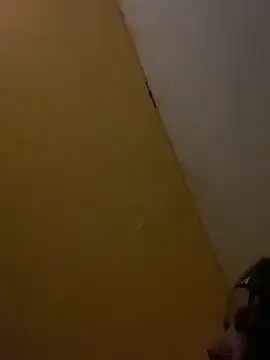 Lily bood online show from 17, 11, 2025