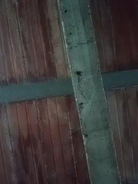 Megan2026 online show from 19, 2, 2026