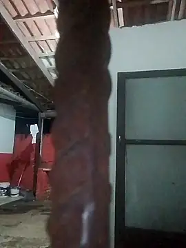 Snapshot of rebelde502 chatting on 13, 11, 2025 rebelde502 online show from 13, 11, 2025