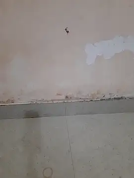 Madhubala singh online show from 18, 3, 2026