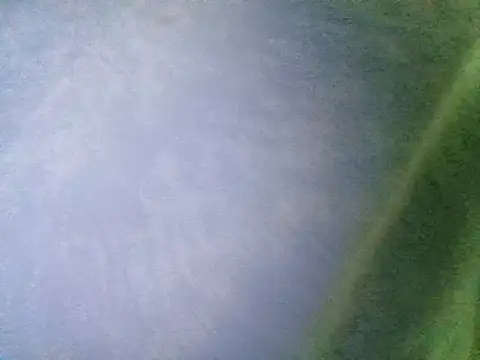 Ramzes1992Analog online show from 5, 11, 2025