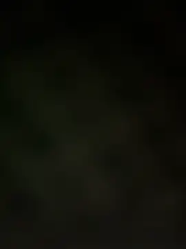 Snapshot of trickydickydaddy chatting on 13, 3, 2026 trickydickydaddy online show from 13, 3, 2026