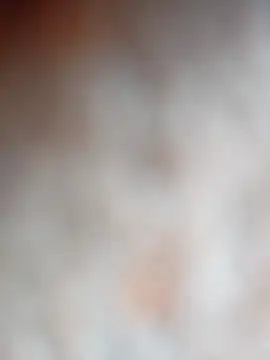 Tayanehot online show from 2, 12, 2025