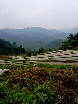 Snapshot of Cloud-wh chatting on 14, 3, 2026 Cloud-wh online show from 14, 3, 2026