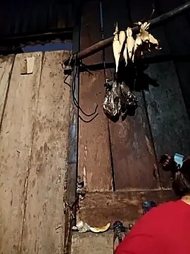 -Chua-90 online show from 19, 2, 2026