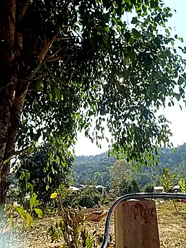 -Chua-90 online show from 20, 2, 2026