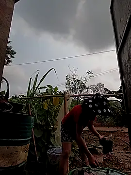 -Chua-90 online show from 8, 3, 2026