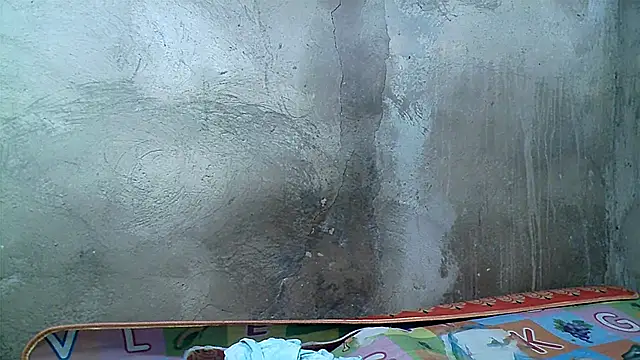 xwindyxxx online show from 27, 11, 2025