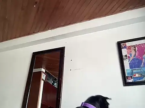 Snapshot of Dreana chatting on 13, 2, 2026 Dreana online show from 13, 2, 2026