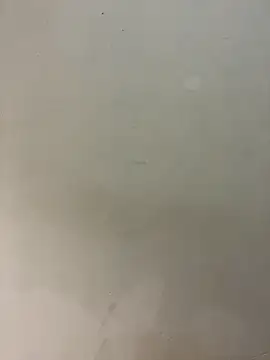 Snapshot of bigass256 chatting on 14, 2, 2026 bigass256 online show from 14, 2, 2026