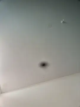 Hardwarelane67 online show from 16, 3, 2026