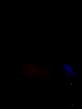 VenezuelaLuxeNoir online show from 1, 8, 2026