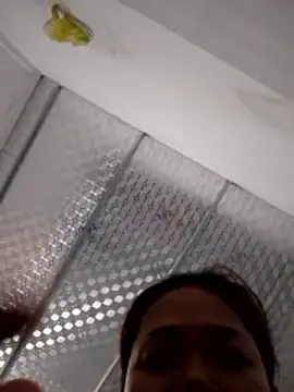 PamPii2x online show from 28, 2, 2026