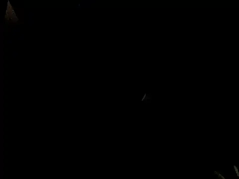 Savannah Cock online show from 23, 2, 2026