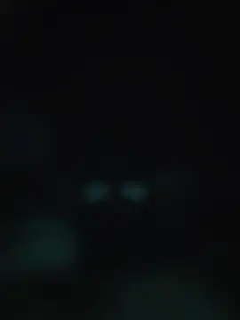 00x0x00 online show from 20, 5, 2026