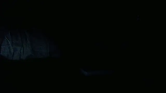 Alexbbcum online show from 8, 7, 2026
