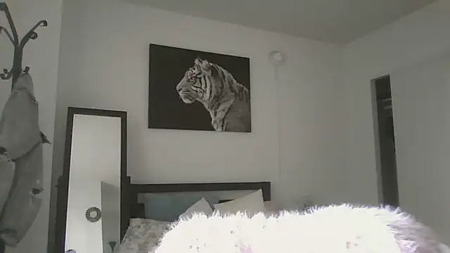 cryptokimgirl online show from 4, 3, 2026