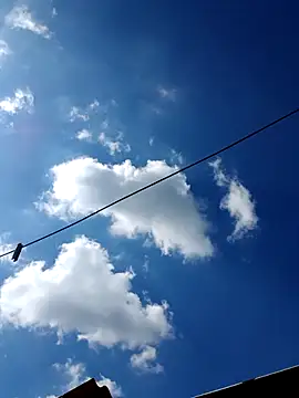 Eezxxx online show from 17, 12, 2025