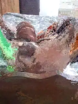 Meow buggie online show from 16, 1, 2026