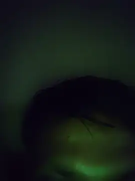 fuckbong online show from 28, 7, 2026
