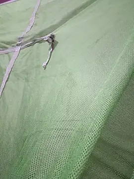 Daily lust online show from 27, 2, 2026