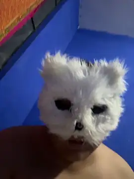 aricub online show from 16, 12, 2025