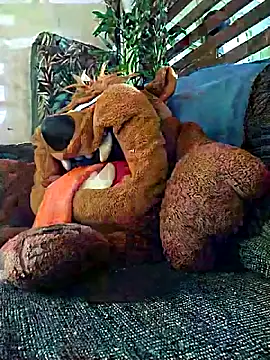 Snapshot of Pirulaibe23 chatting on 18, 12, 2025 Pirulaibe23 online show from 18, 12, 2025