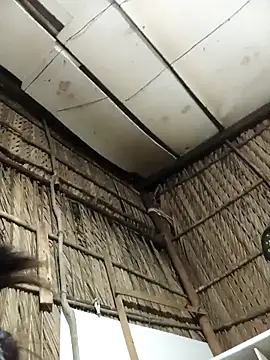 Snapshot of Lin-kute98 chatting on 4, 2, 2026 Lin-kute98 online show from 4, 2, 2026