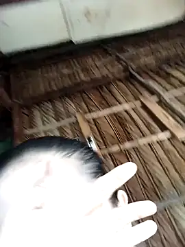 Snapshot of Lin-kute98 chatting on 9, 2, 2026 Lin-kute98 online show from 9, 2, 2026