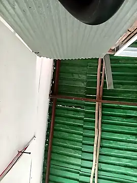 Snapshot of Lin-kute98 chatting on 10, 3, 2026 Lin-kute98 online show from 10, 3, 2026