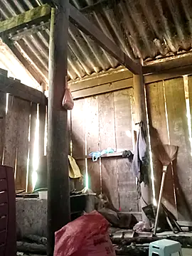 Snapshot of Lily-ross22 chatting on 25, 11, 2025 Lily-ross22 online show from 25, 11, 2025