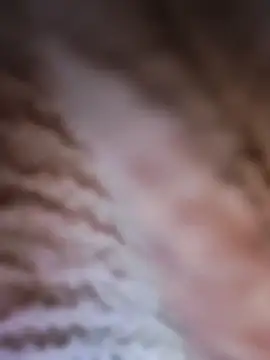 Snapshot of Punam_panjabi chatting on 28, 2, 2026 Punam panjabi online show from 28, 2, 2026