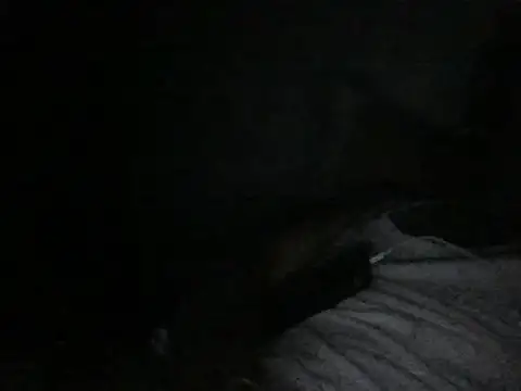 Snapshot of modiji_999 chatting on 5, 3, 2026 modiji 999 online show from 5, 3, 2026