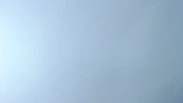 Chelseadow online show from 17, 12, 2025