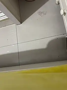 molihua 7788 online show from 28, 2, 2026