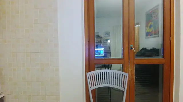 AMIRDIB2025 online show from 29, 4, 2026