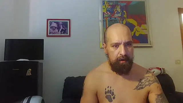 AMIRDIB2025 online show from 17, 6, 2026