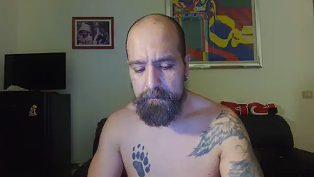 AMIRDIB2025 online show from 24, 6, 2026