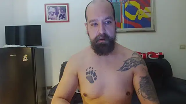 AMIRDIB2025 online show from 26, 6, 2026