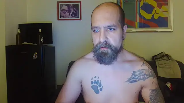 AMIRDIB2025 online show from 30, 6, 2026