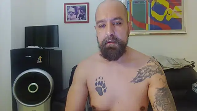 AMIRDIB2025 online show from 3, 7, 2026