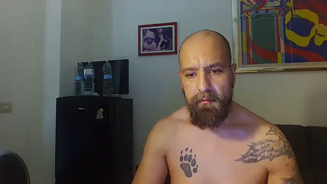 AMIRDIB2025 online show from 4, 7, 2026
