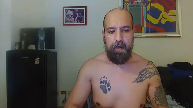AMIRDIB2025 online show from 8, 7, 2026