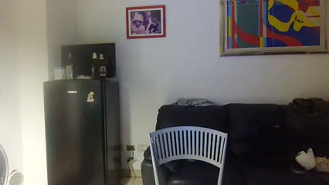 AMIRDIB2025 online show from 16, 7, 2026
