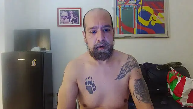 AMIRDIB2025 online show from 17, 7, 2026