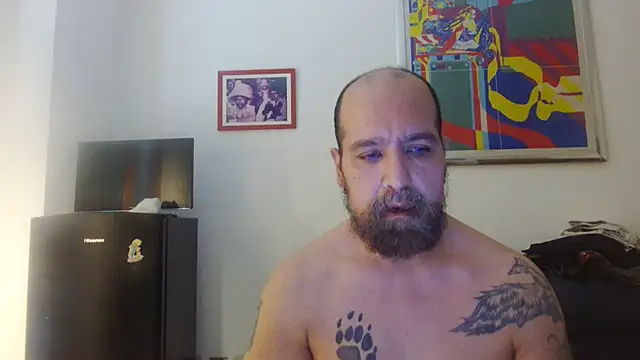 AMIRDIB2025 online show from 19, 7, 2026